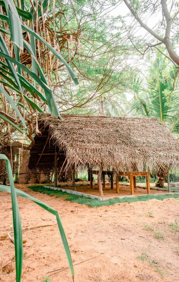 Sarada Beach Resort Yala Tissamaharama Ngoại thất bức ảnh