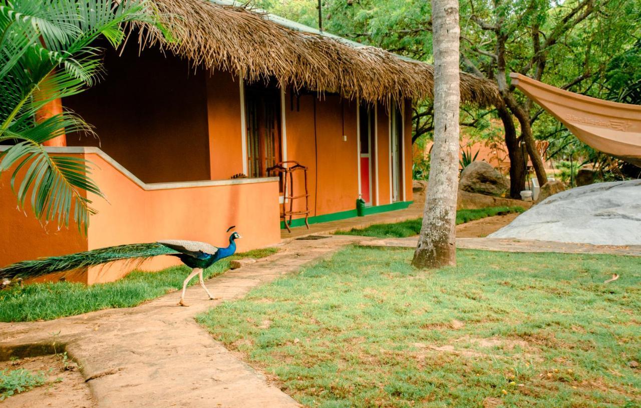 Sarada Beach Resort Yala Tissamaharama Ngoại thất bức ảnh
