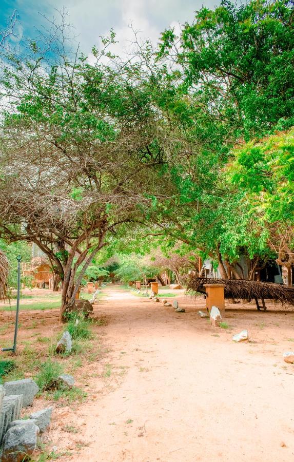 Sarada Beach Resort Yala Tissamaharama Ngoại thất bức ảnh